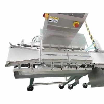 High Speed Online Checkweigher best